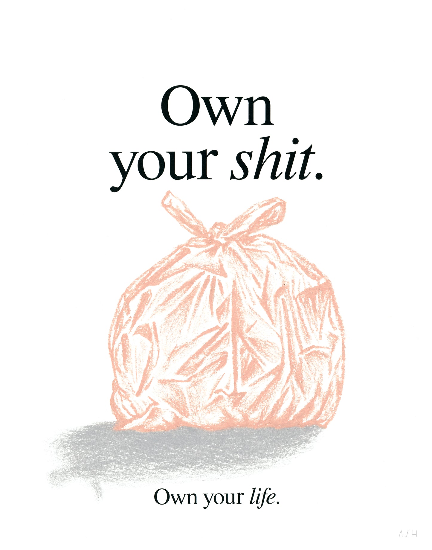 Own Your Shit - Art Print